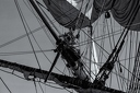 JMP Détail de l'Hermione