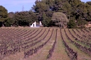 vignes SM