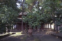 MT 4 temple