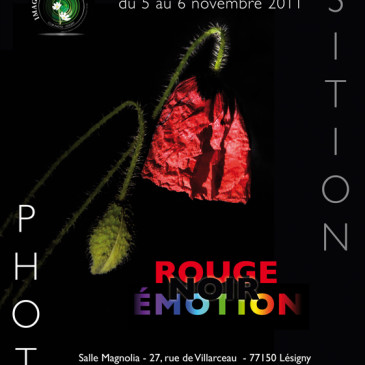 Expo des membres du Club