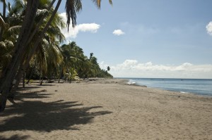 source_diff_vs_ponct-1