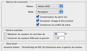 options de conversion
