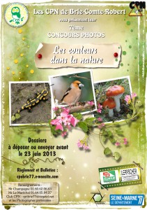 Affiche Concours photos adultes 2013